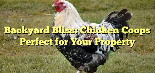 Backyard Bliss: Chicken Coops Perfect for Your Property 